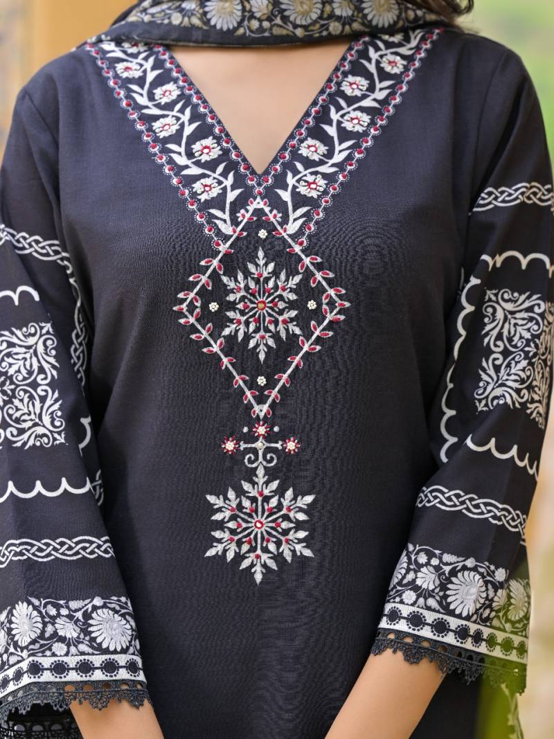 Niraakaar Nr115 Linen With Digital Print Readymade Collection