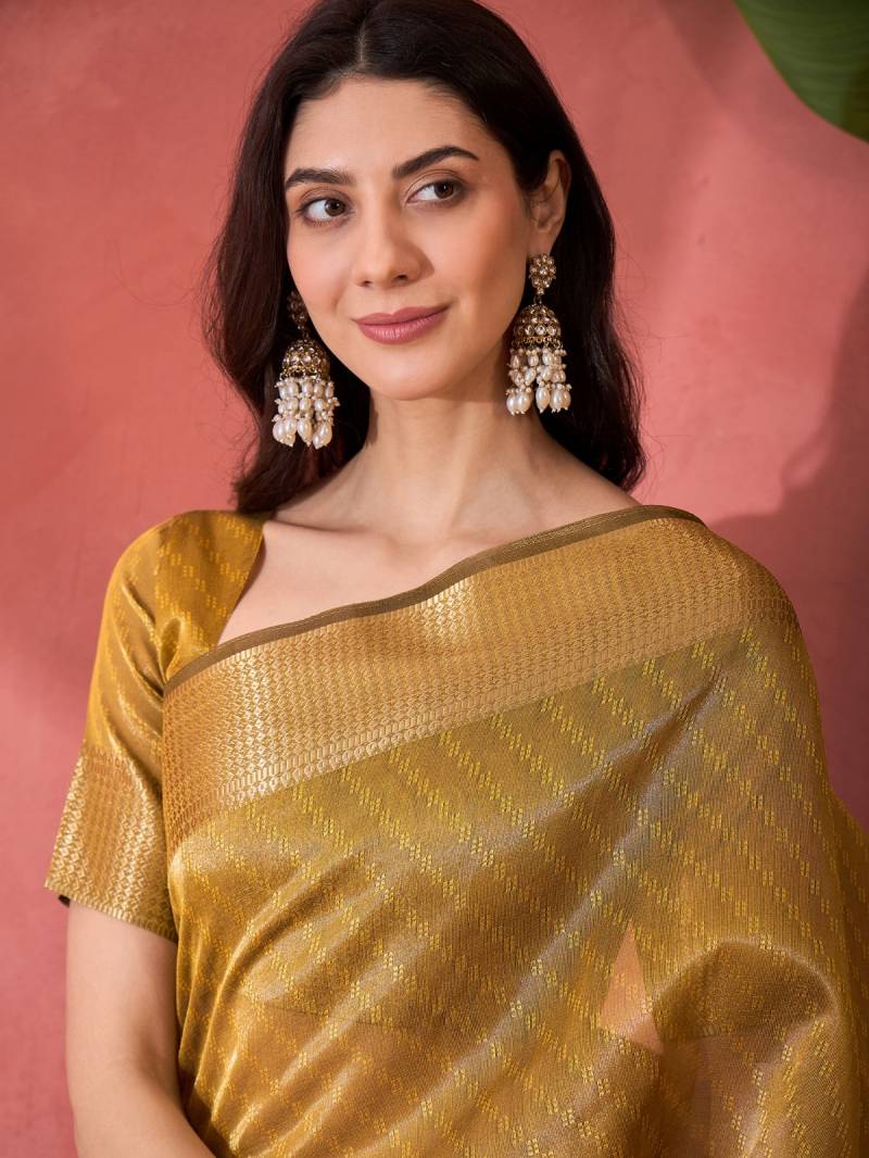 Cp 8246 Fancy Khadi Organza Saree Collection