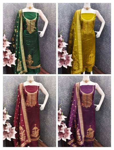 Rnx 5048 Organza Color Set Matching Dress Material