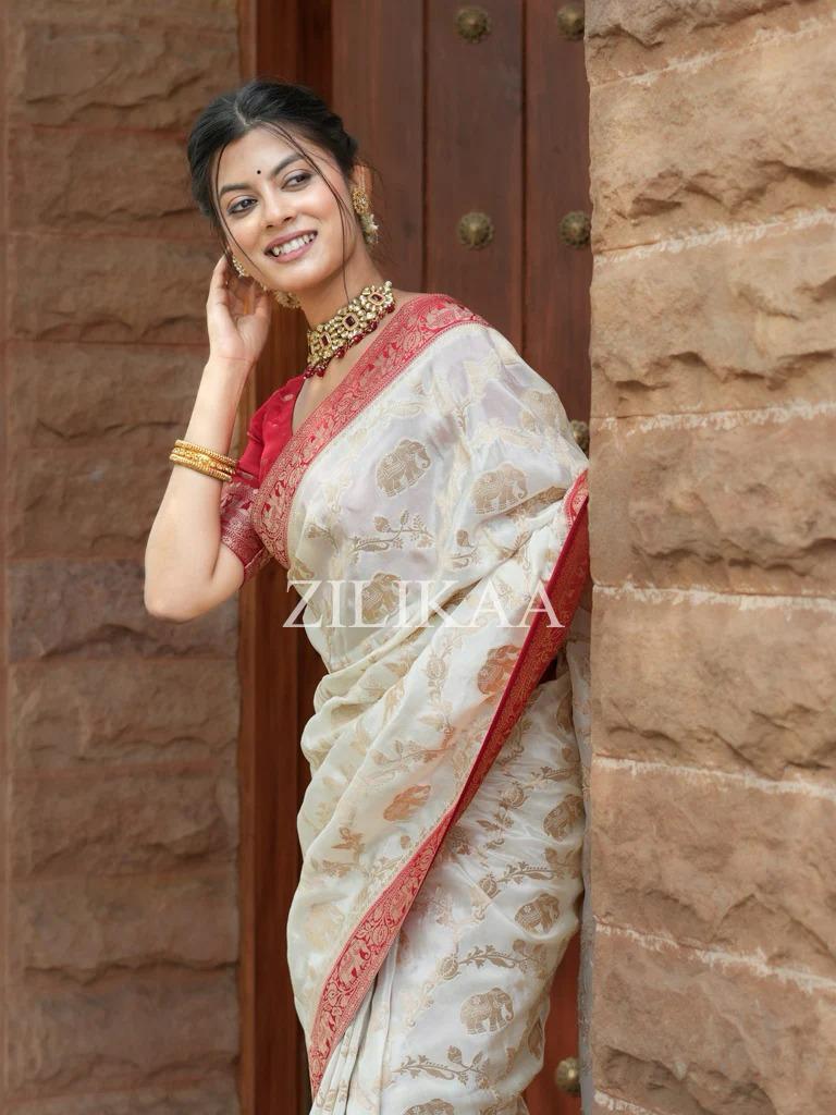 Satani 45221 Banarasi Soft Silk Festival Wear Saree Collection