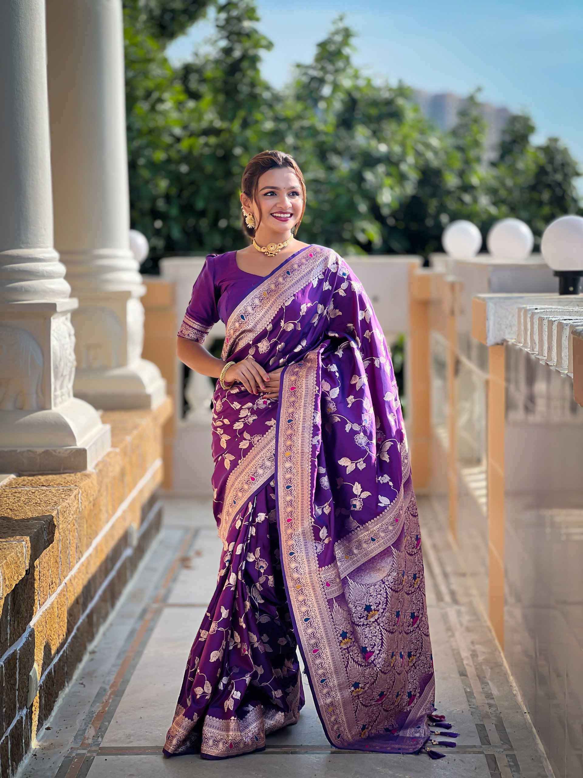 Lekha MN Banarasi 4D Patola Soft Banarasi Silk Zari Weaving Meenakari Saree