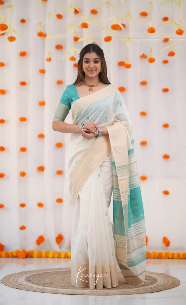 Satani 40189 Cottoni Banarasi Soft Silk Saree Collection