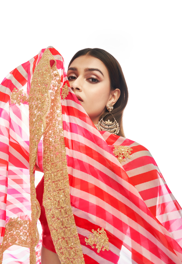 Lekha TF 135 Organza Festive Wear Lehenga Choli