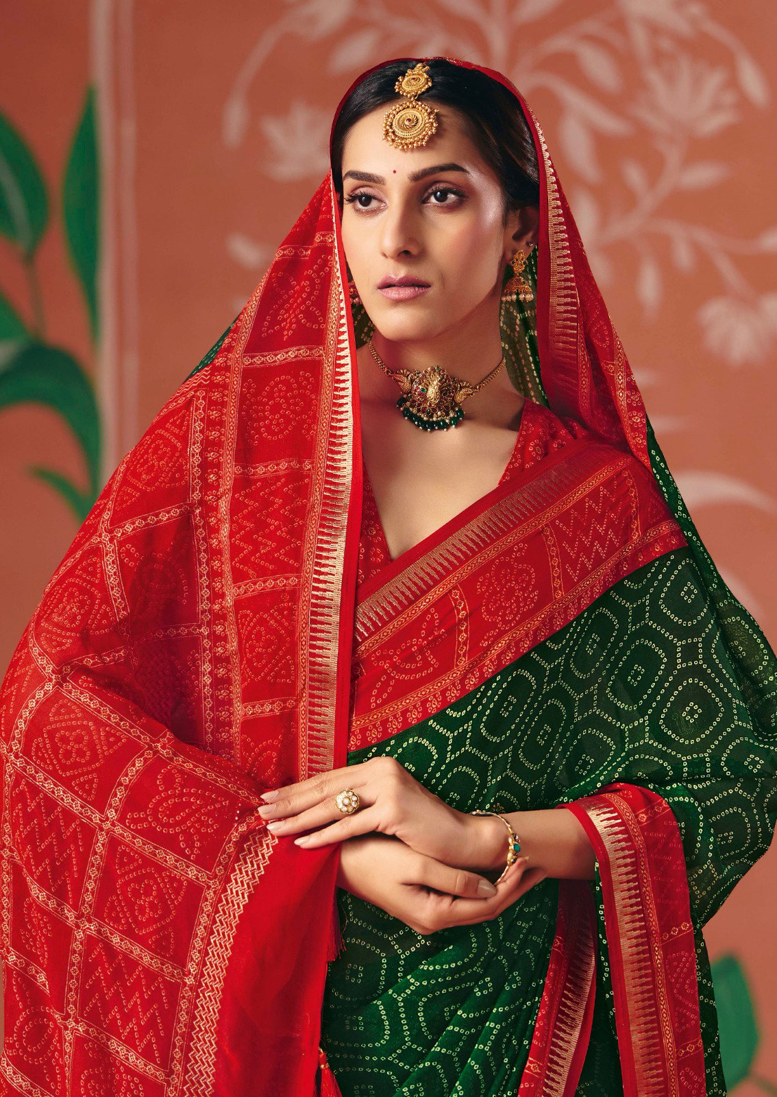 Shubh Shree Pachedi 1 Bamber Georgette Kasab Border Saree