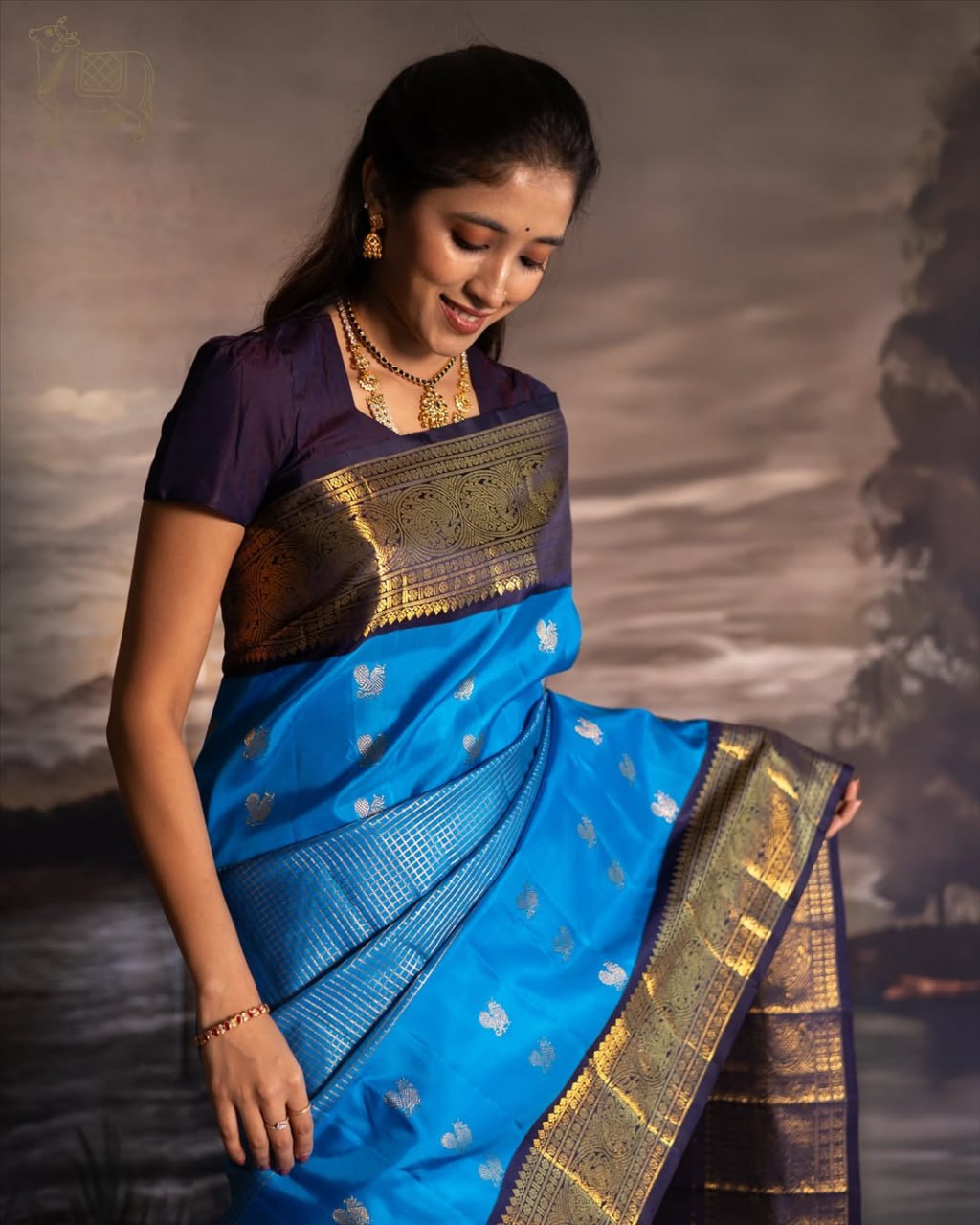 Satani 45227 Banarasi Soft Silk Saree Saree