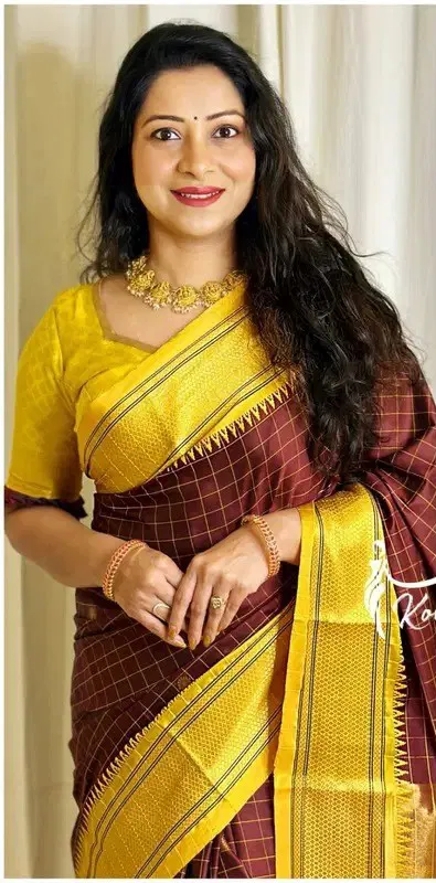 Aab Minakari Vol 1 Cotton Checks Paithani Saree Collection
