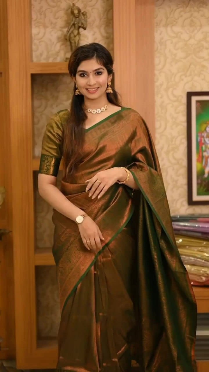 Satani 40107 Banarasi Soft Silk Saree