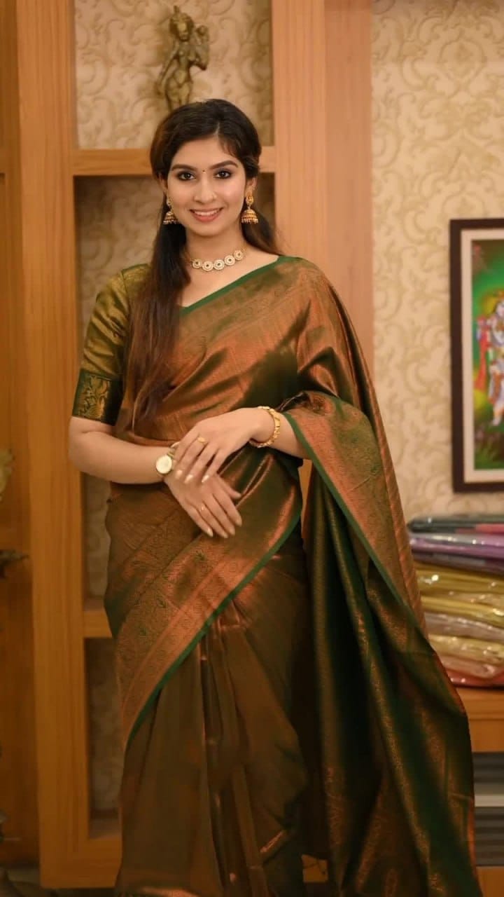 Satani 40107 Banarasi Soft Silk Saree