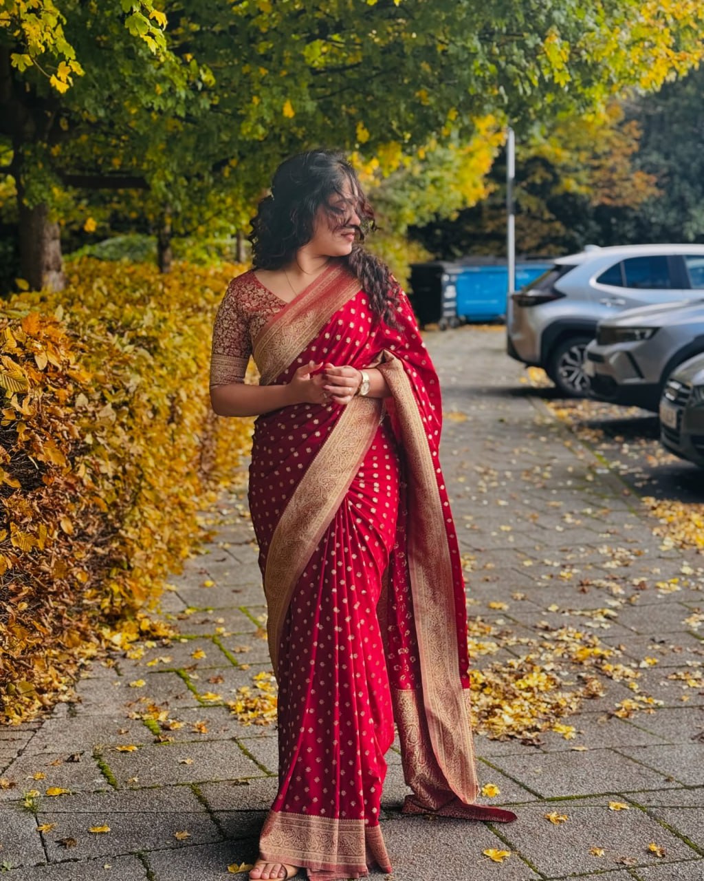 Satani 40112 Pure Silk Threads And Intricate Weaving Saree