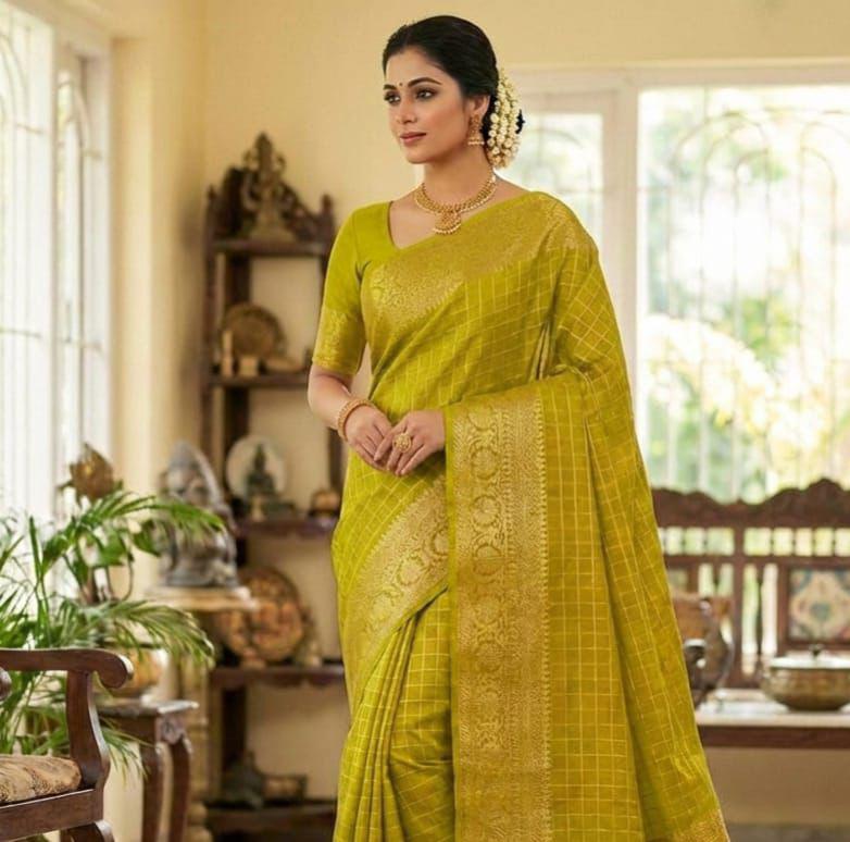 NCO 146 Nylon Jacquard Dola Silk Zari Weaving Saree