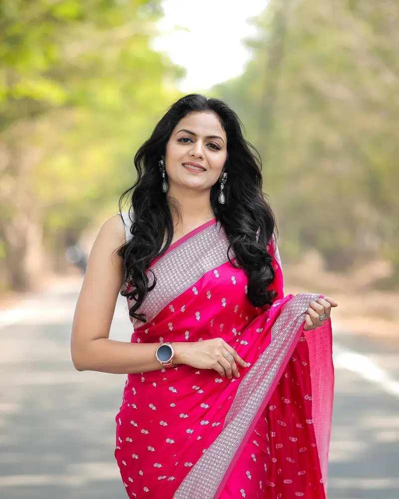 Satani 40113 Banarasi Soft Silk Festival Wear Saree Collection