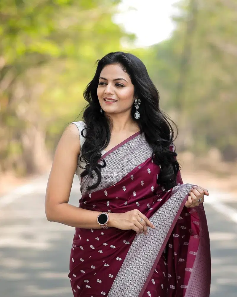 Satani 40113 Banarasi Soft Silk Festival Wear Saree Collection