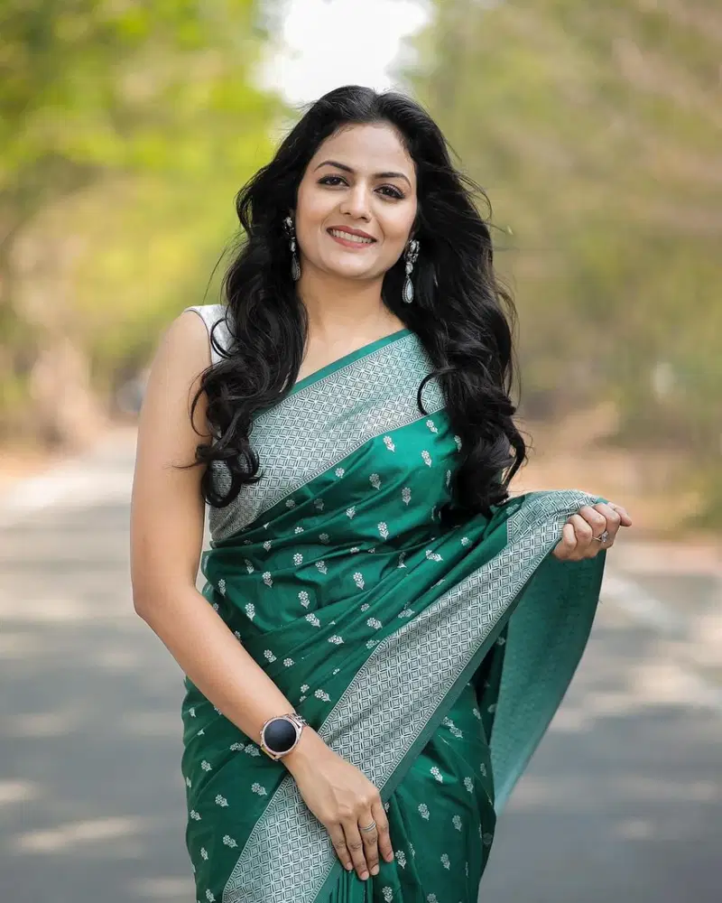 Satani 40113 Banarasi Soft Silk Festival Wear Saree Collection